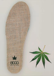 8000Kicks Explorer V2 Green Beige - Ecomarket.com