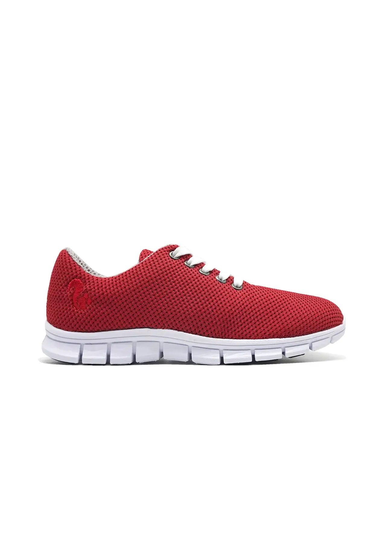 Thies Cornrunner I - Ecomarket.com