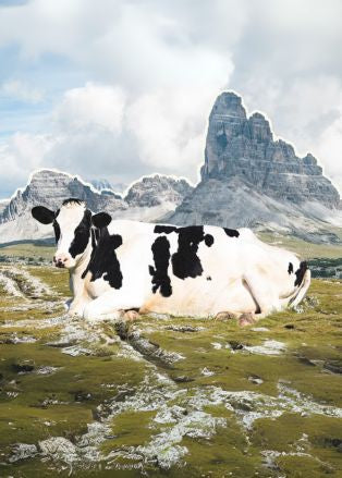 Vegan - Ecomarket.com