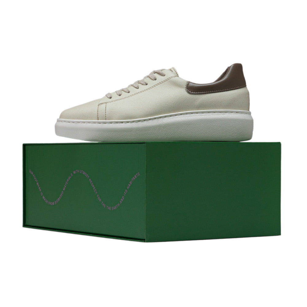 Agazi Emma Cappuccino sneakers on a green box, symbolizing the brand's commitment to sustainability.